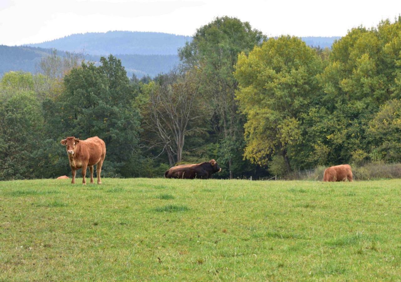 Ferienhaus Vulkaneifel Kopp Exteriér fotografie